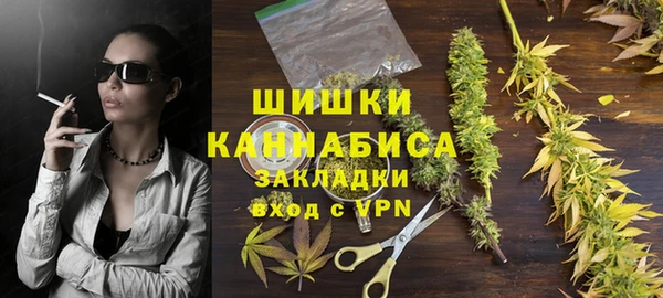 ПСИЛОЦИБИНОВЫЕ ГРИБЫ Пересвет