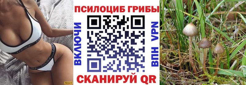 Галлюциногенные грибы Magic Shrooms  наркотики  Элиста 